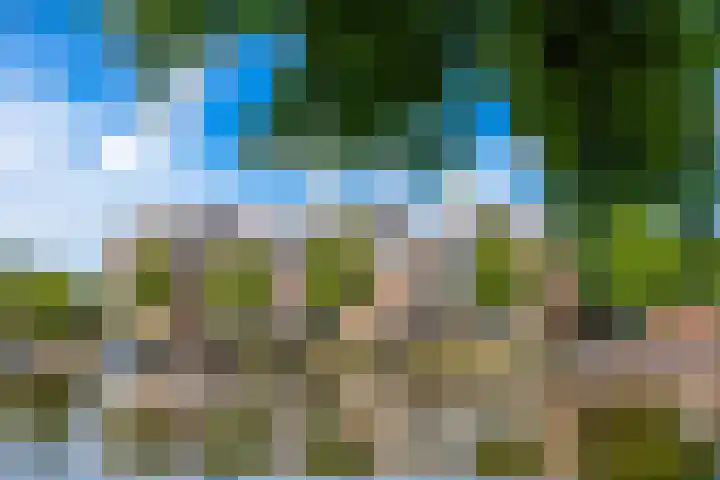 Steenhouwerskade 57 Groningen thumbnail 39