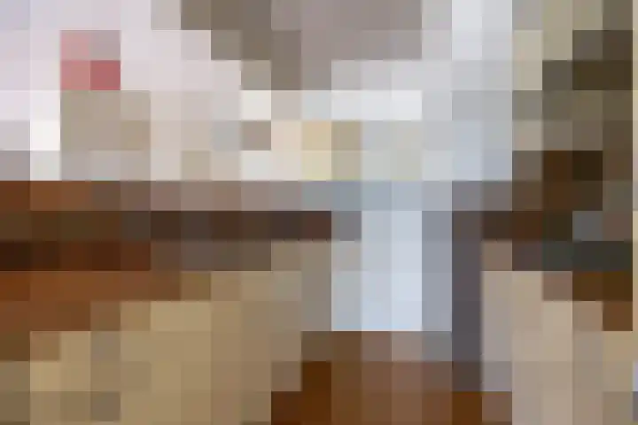 Steenhouwerskade 57 Groningen thumbnail 9