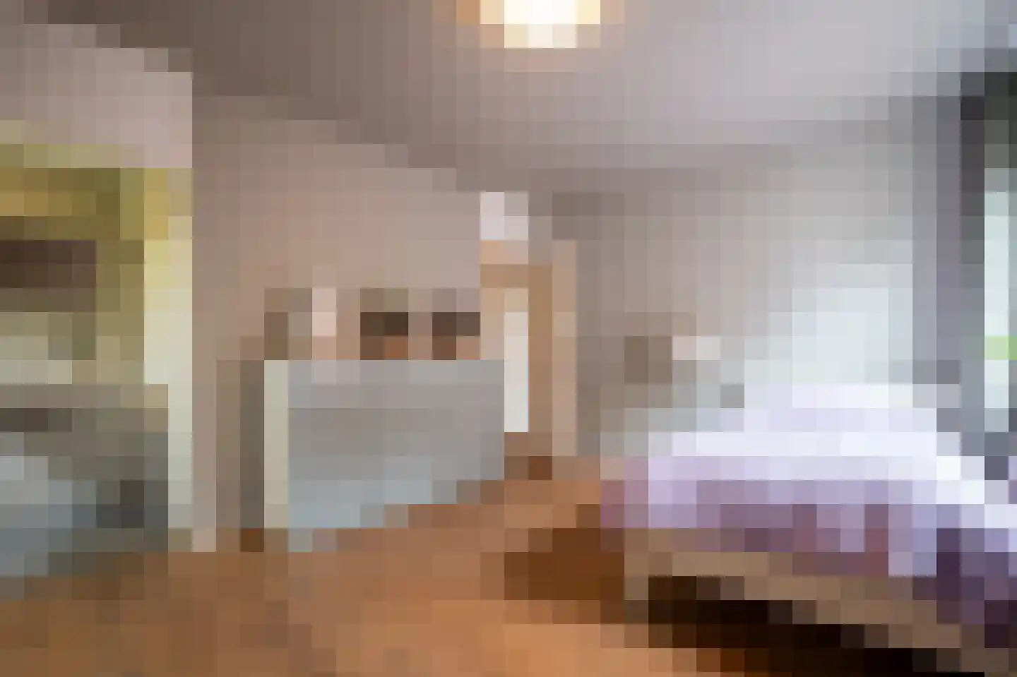 Steenhouwerskade 58 Groningen thumbnail 32