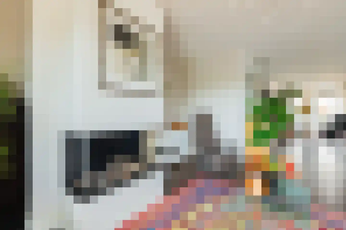 Steenhouwerskade 74 Groningen thumbnail 16