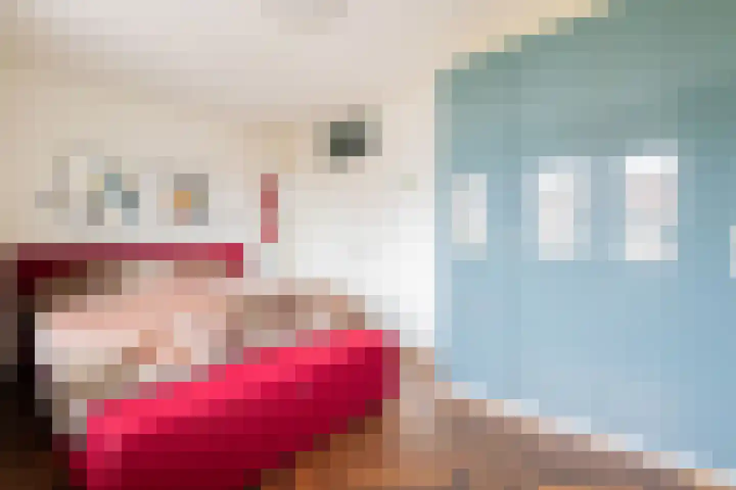 Steenhouwerskade 74 Groningen thumbnail 35