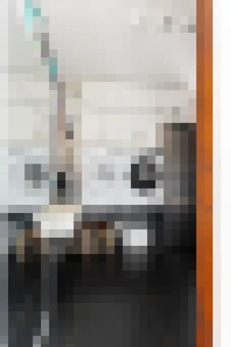 Steenhouwerskade 74 Groningen thumbnail 41