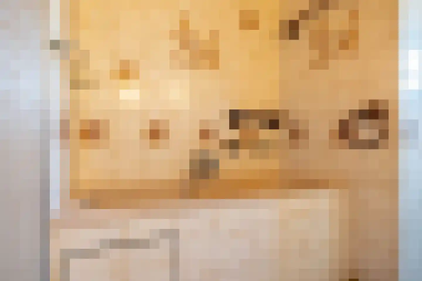 Steenhouwerskade 76 Groningen thumbnail 33