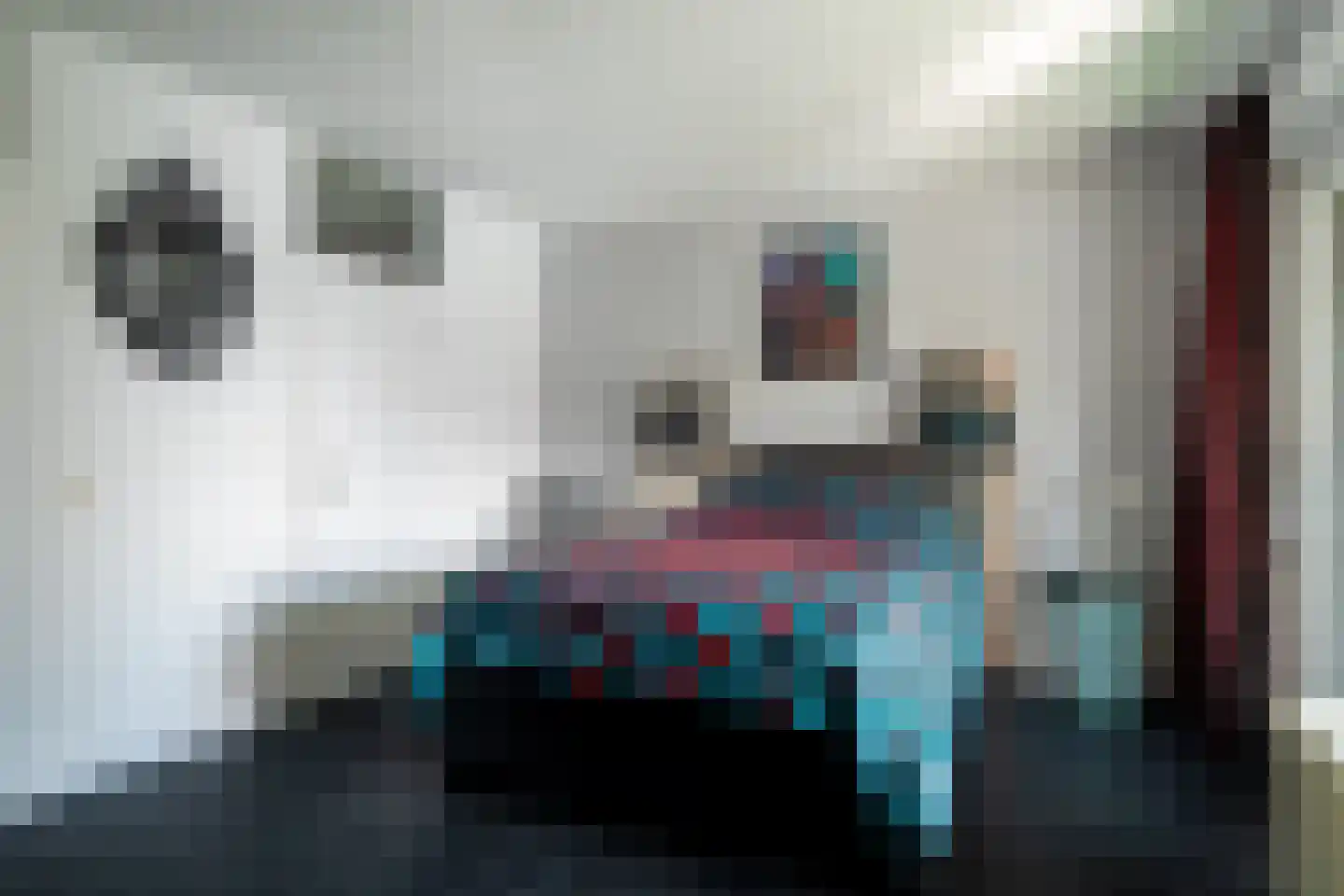 Steenhouwerskade 86 Groningen thumbnail 33