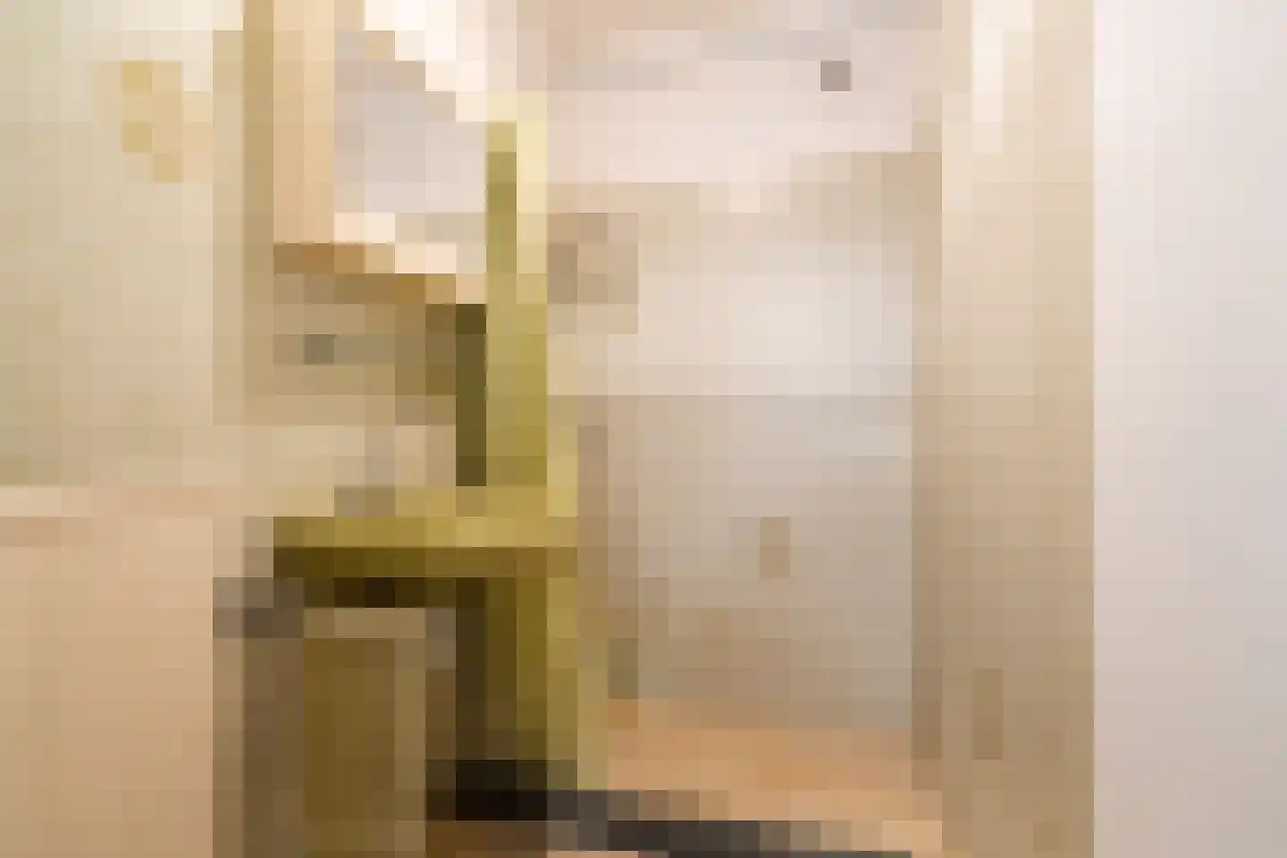 Steenhouwerskade 86 Groningen thumbnail 51