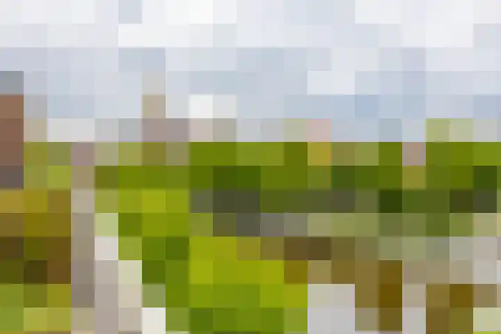 Steenhouwerskade 97 Groningen thumbnail 20