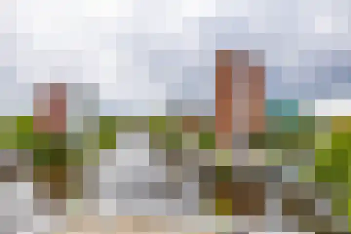 Steenhouwerskade 97 Groningen thumbnail 24