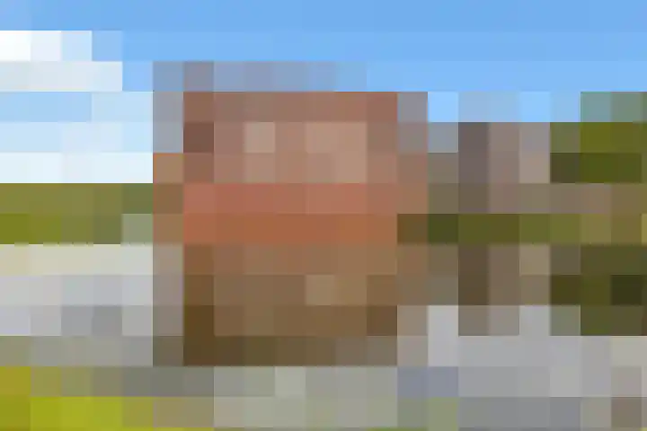 Steenhouwerskwartier 17 Heemskerk thumbnail 7