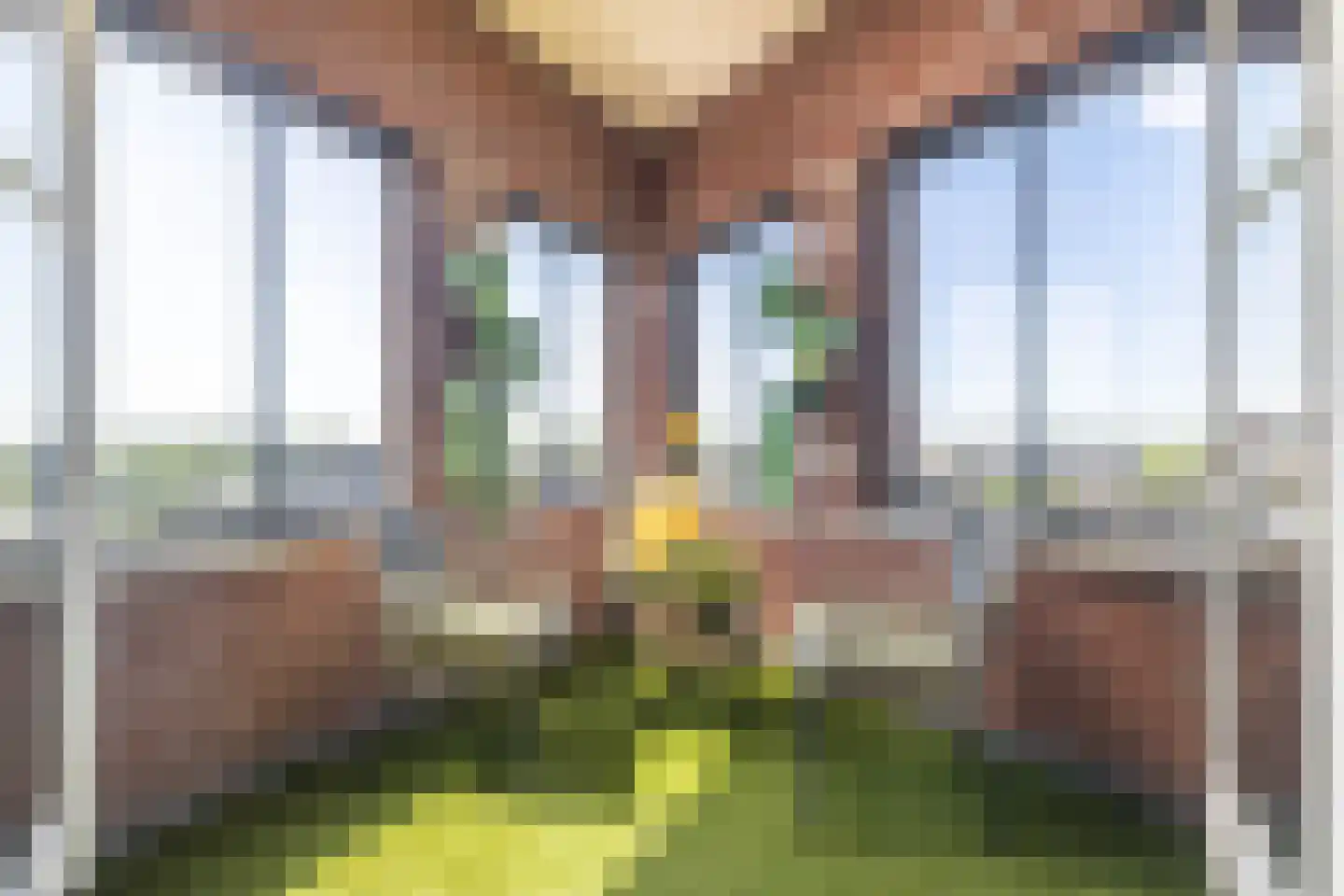 Steenhouwerskwartier 23 Heemskerk thumbnail 19