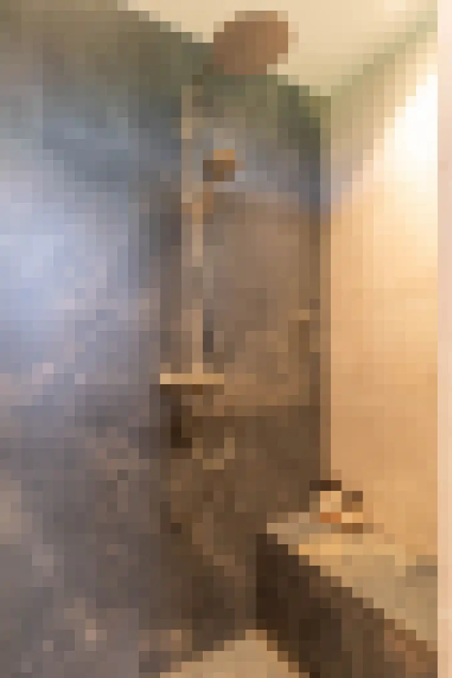 Steenhouwerskwartier 23 Heemskerk thumbnail 33