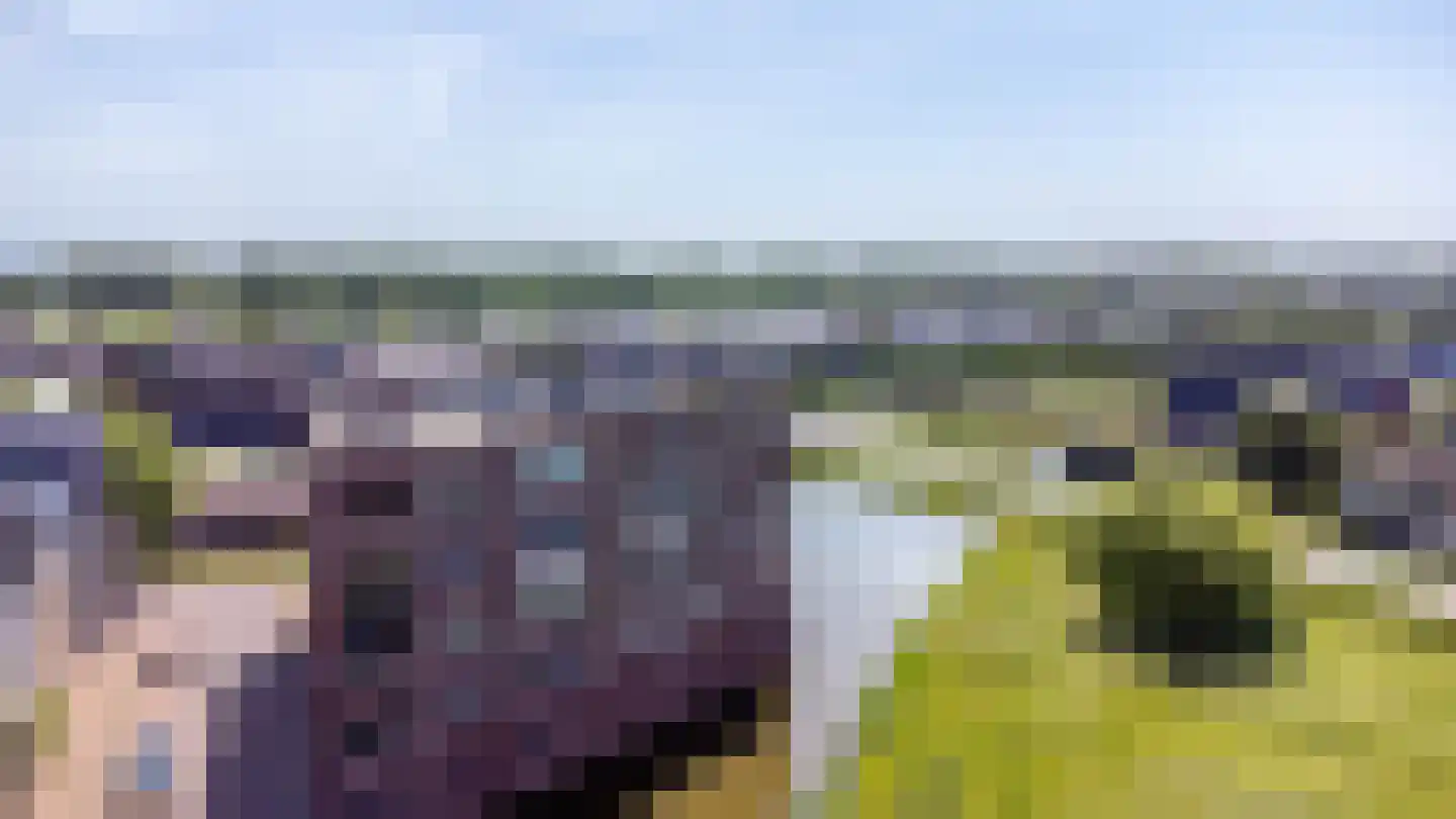 Steenhouwerskwartier 23 Heemskerk thumbnail 45