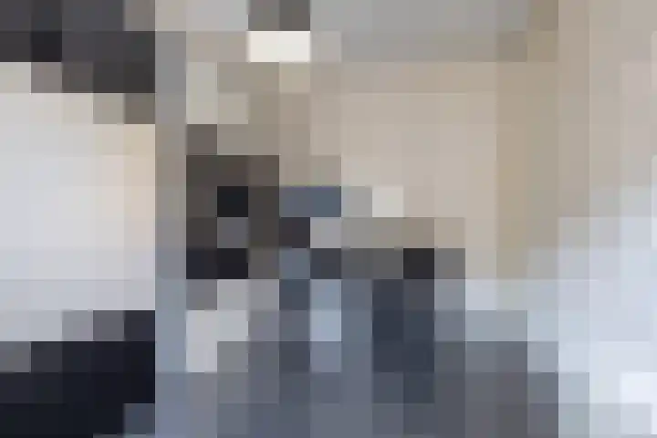 Steenhouwerskwartier 3 Heemskerk thumbnail 15