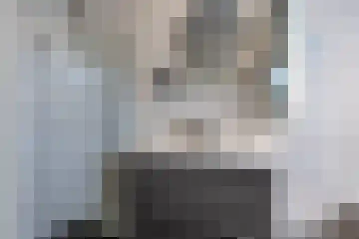 Steenhouwerskwartier 3 Heemskerk thumbnail 18