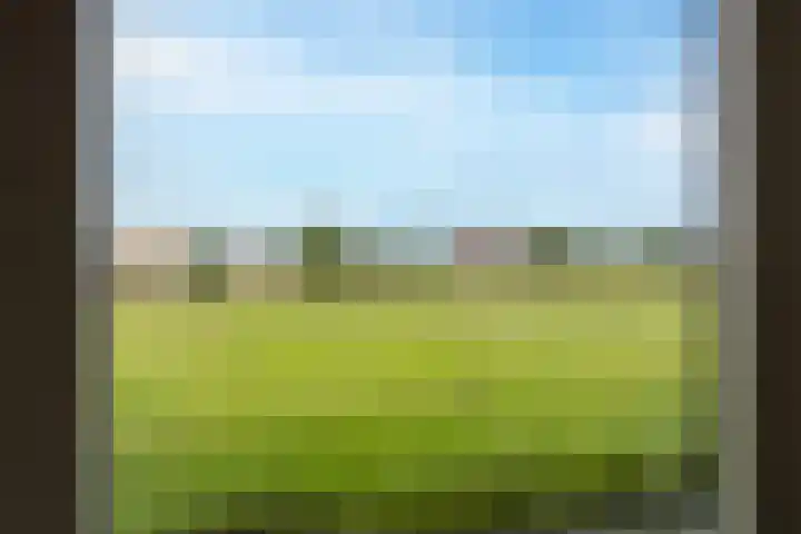 Steenhouwerskwartier 3 Heemskerk thumbnail 19