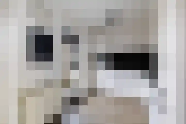 Steenhouwerslaan 2 Voorthuizen thumbnail 11
