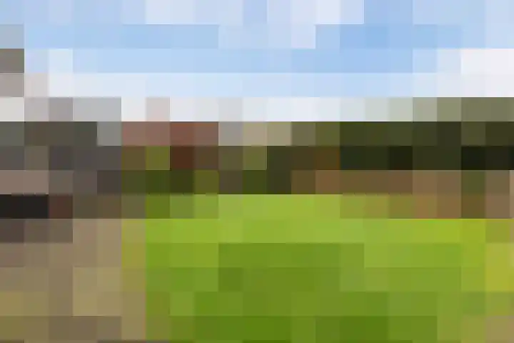 Steenhouwerslaan 2 Voorthuizen thumbnail 14