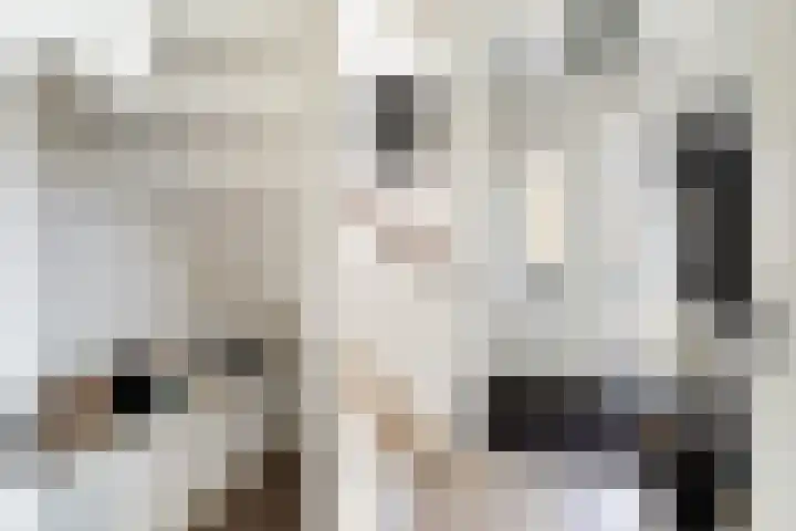 Steenhouwerslaan 2 Voorthuizen thumbnail 15