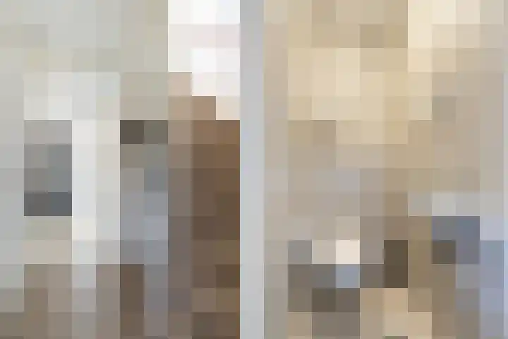 Steenhouwerslaan 2 Voorthuizen thumbnail 16
