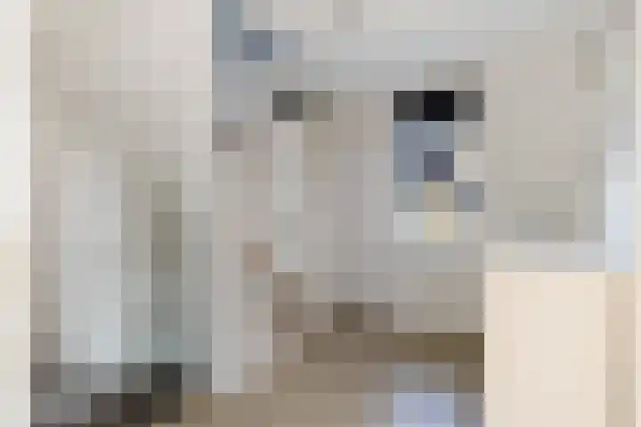 Steenhouwerslaan 2 Voorthuizen thumbnail 17