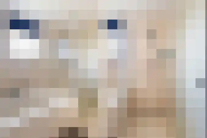 Steenhouwerslaan 2 Voorthuizen thumbnail 24