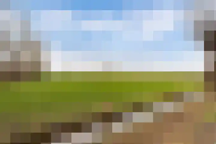 Steenhouwerslaan 2 Voorthuizen thumbnail 29
