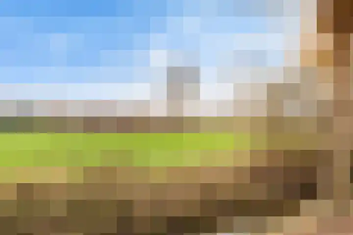 Steenhouwerslaan 2 Voorthuizen thumbnail 30