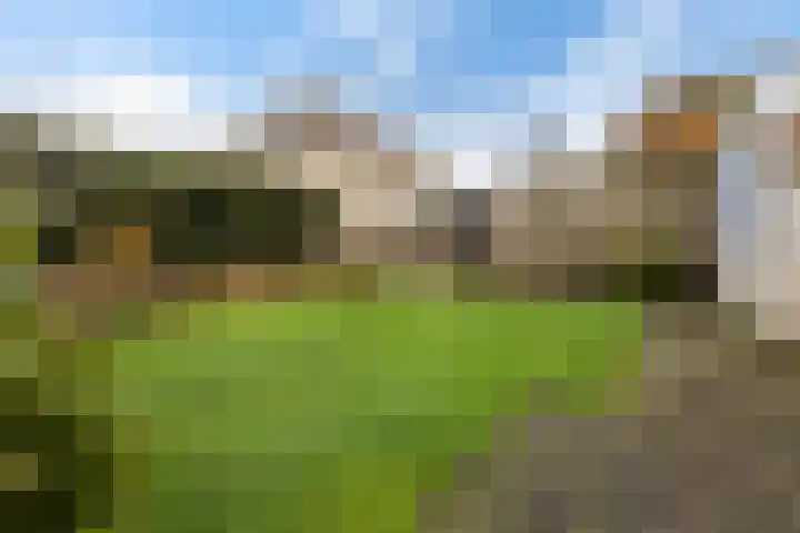 Steenhouwerslaan 2 Voorthuizen thumbnail 4
