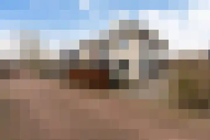 Steenhouwerslaan 2 Voorthuizen thumbnail 6