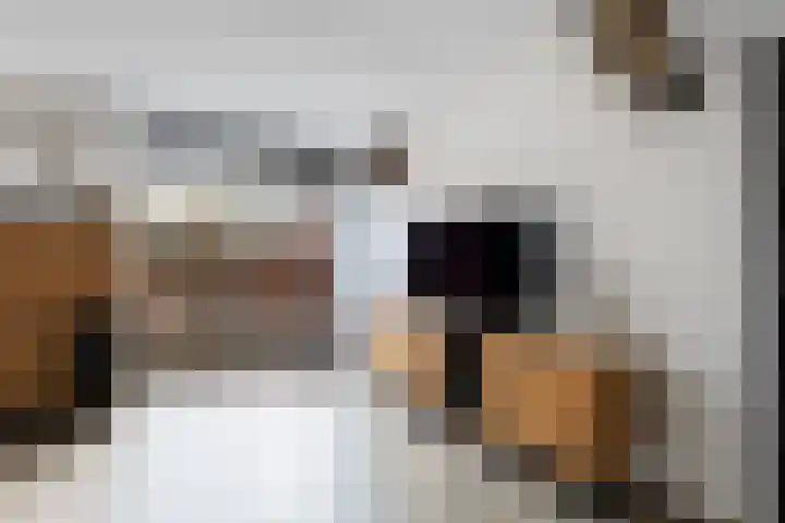 Steenhouwerslaan 2 Voorthuizen thumbnail 7