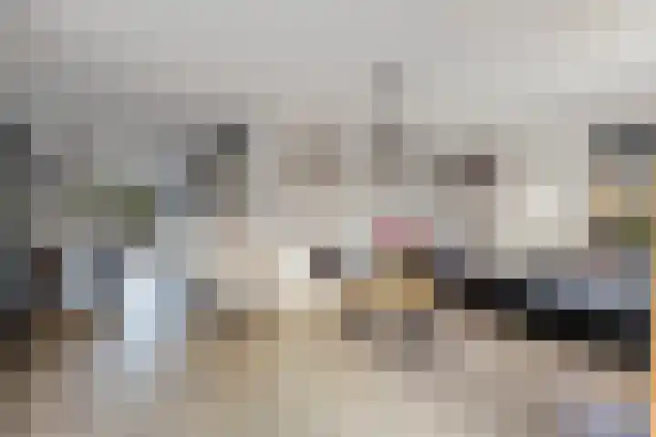 Steenhouwerslaan 2 Voorthuizen thumbnail 8