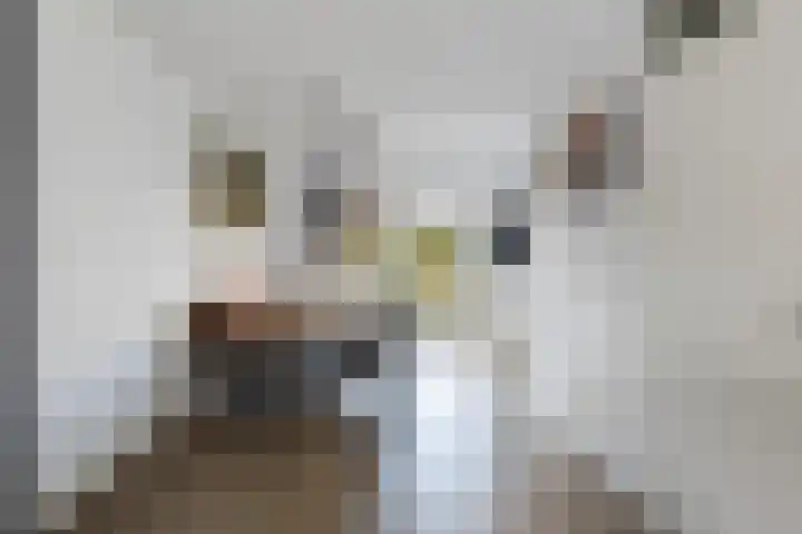 Steenhouwerslaan 2 Voorthuizen thumbnail 9