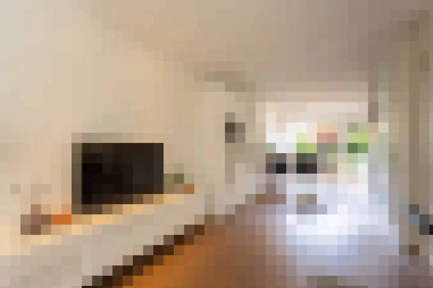Steenhouwerstraat 22 Zwolle thumbnail 10