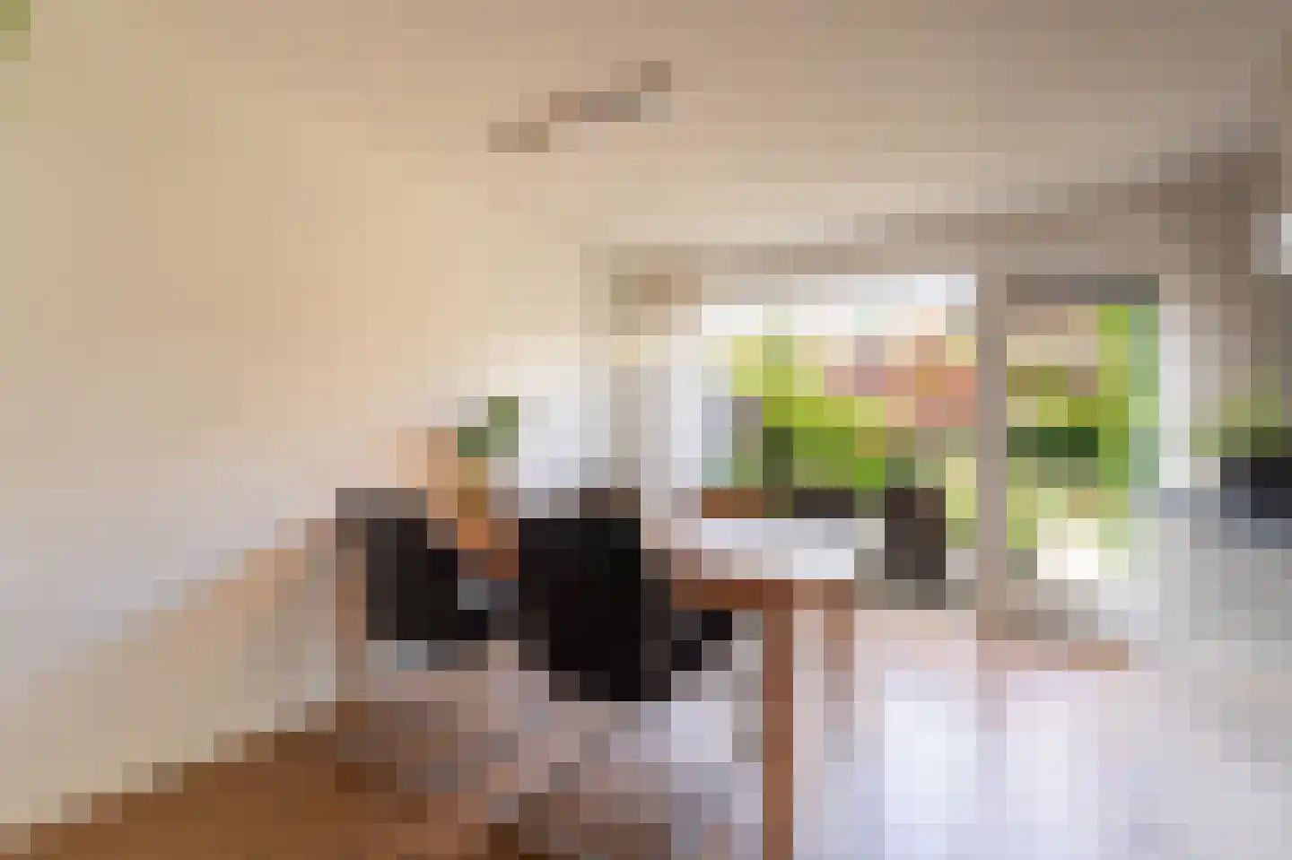 Steenhouwerstraat 22 Zwolle thumbnail 11