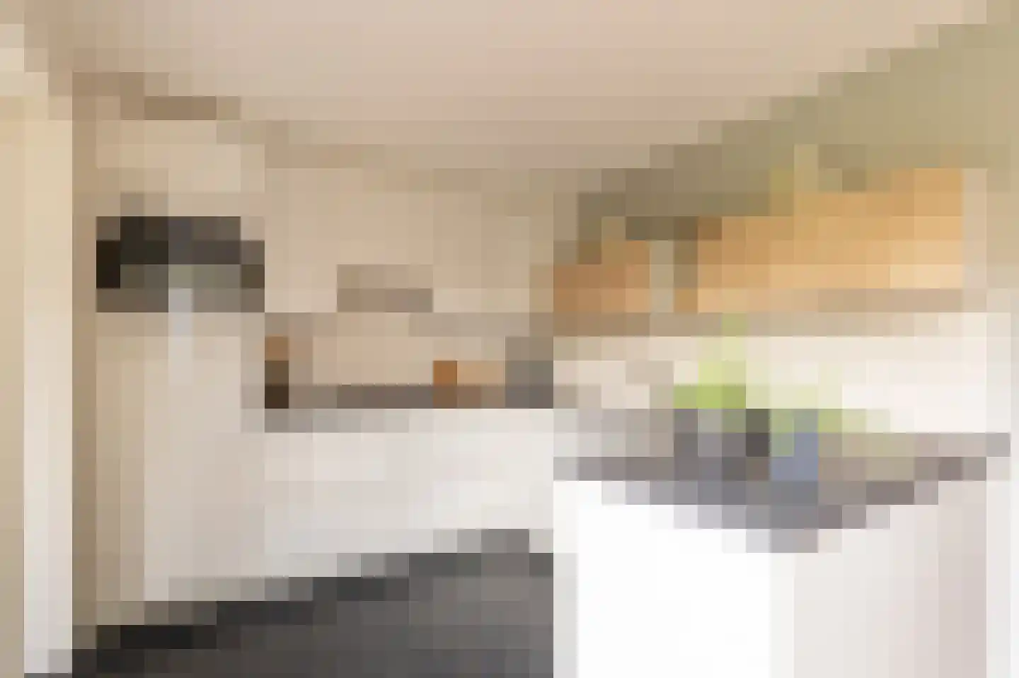 Steenhouwerstraat 22 Zwolle thumbnail 13