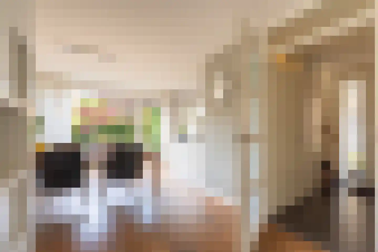 Steenhouwerstraat 22 Zwolle thumbnail 22