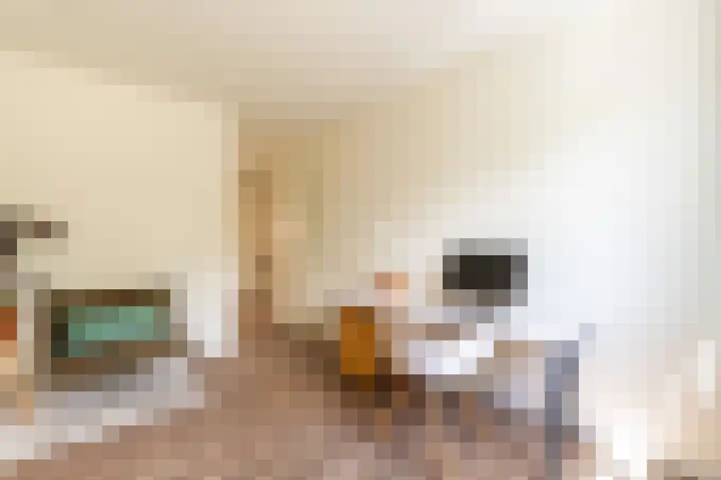 Steenhouwerstraat 22 Zwolle thumbnail 35