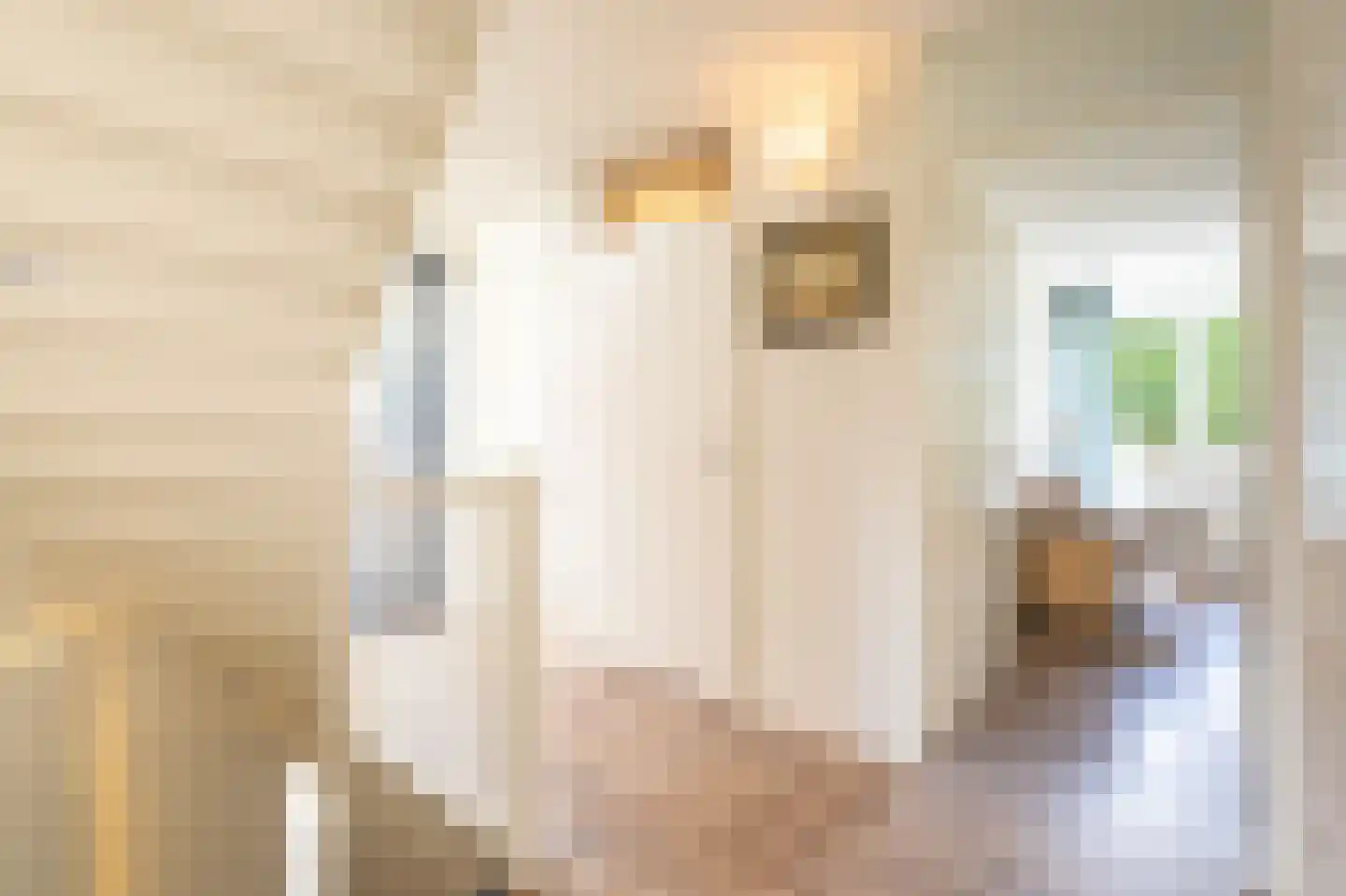 Steenhouwerstraat 22 Zwolle thumbnail 40