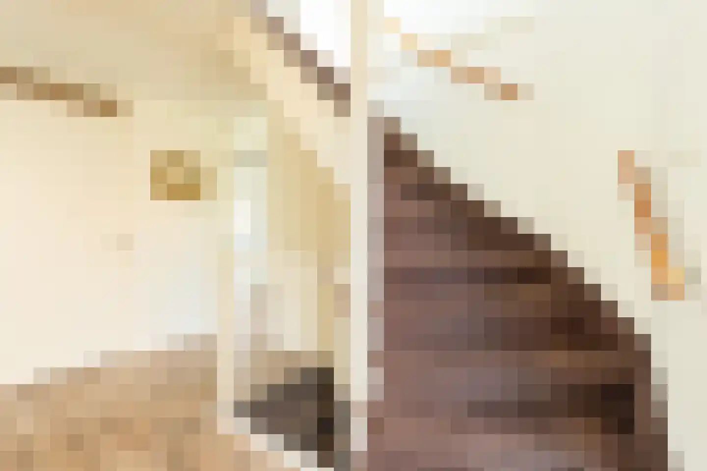Steenhouwerstraat 22 Zwolle thumbnail 41