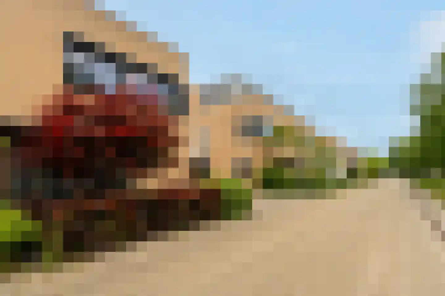 Steenhouwerstraat 22 Zwolle thumbnail 63