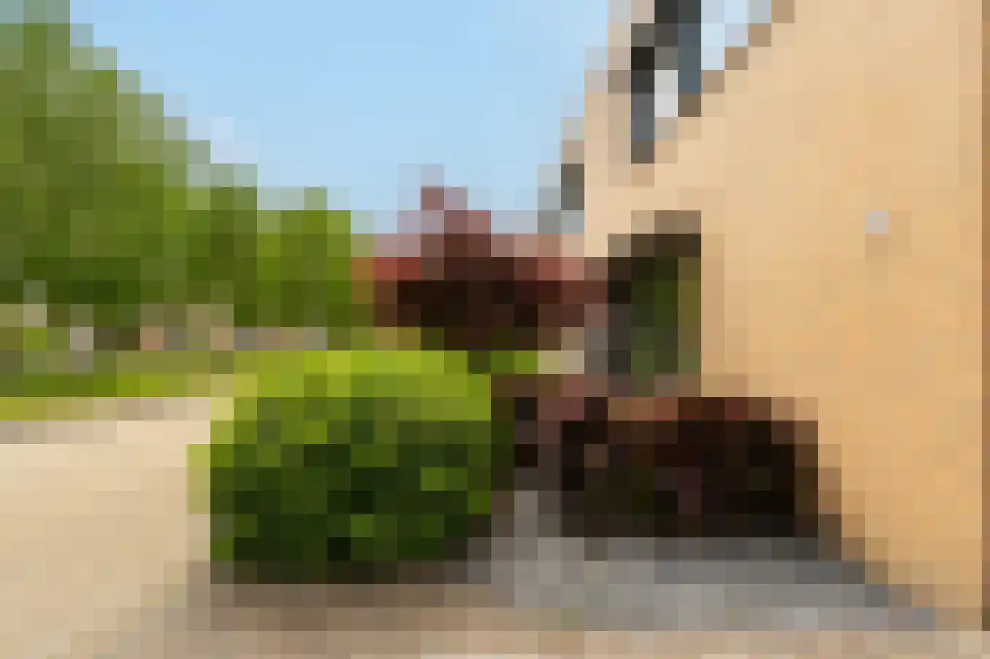 Steenhouwerstraat 22 Zwolle thumbnail 64