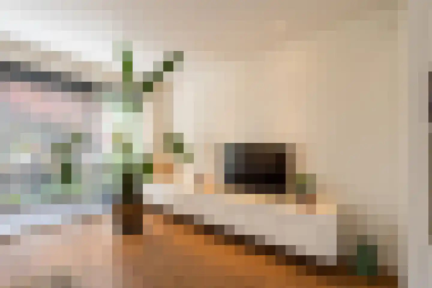 Steenhouwerstraat 22 Zwolle thumbnail 9