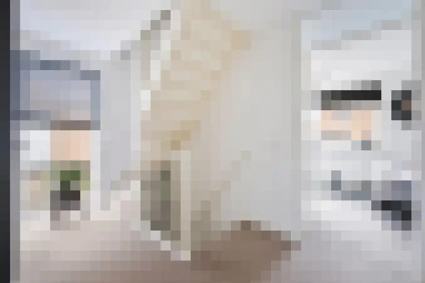 Steenhouwerstraat 33 Zwolle thumbnail 24
