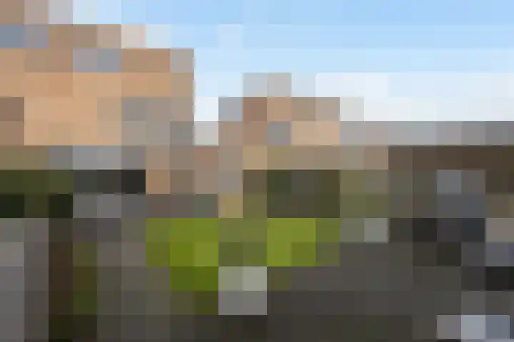 Steenhouwerstraat 33 Zwolle thumbnail 36