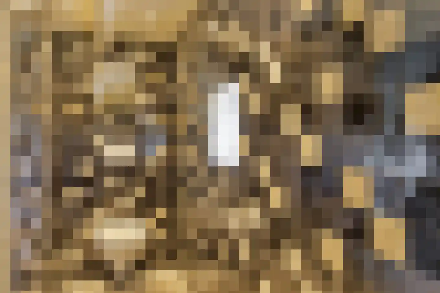 Steenhovensedijk 17 Waterlandkerkje thumbnail 13