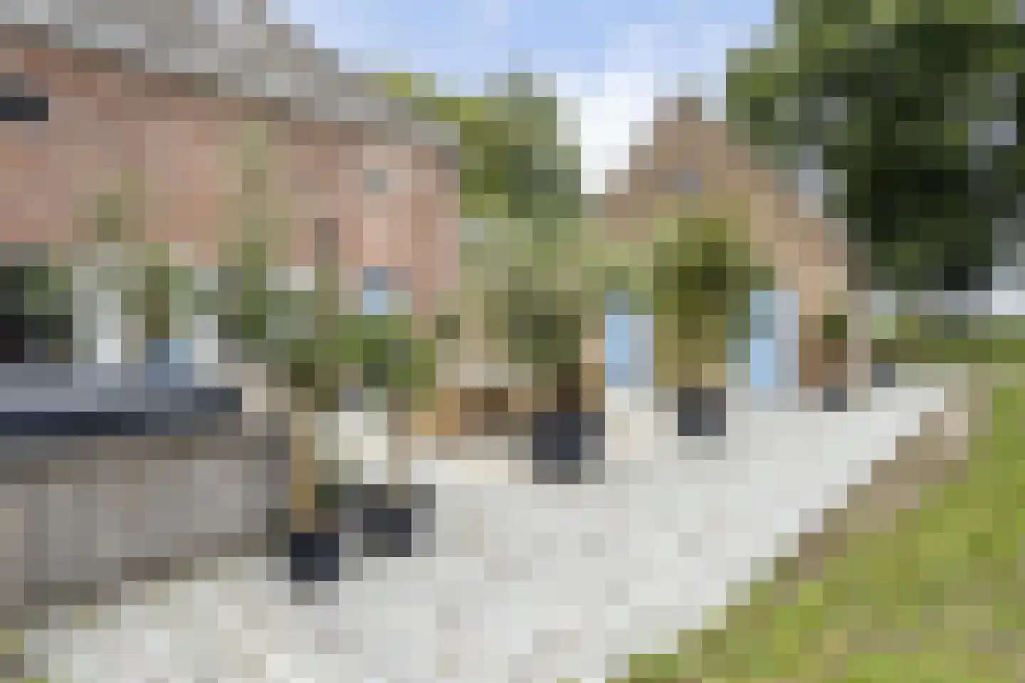 Steenhovensedijk 17 Waterlandkerkje thumbnail 14