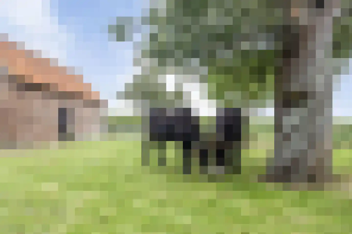 Steenhovensedijk 17 Waterlandkerkje thumbnail 18