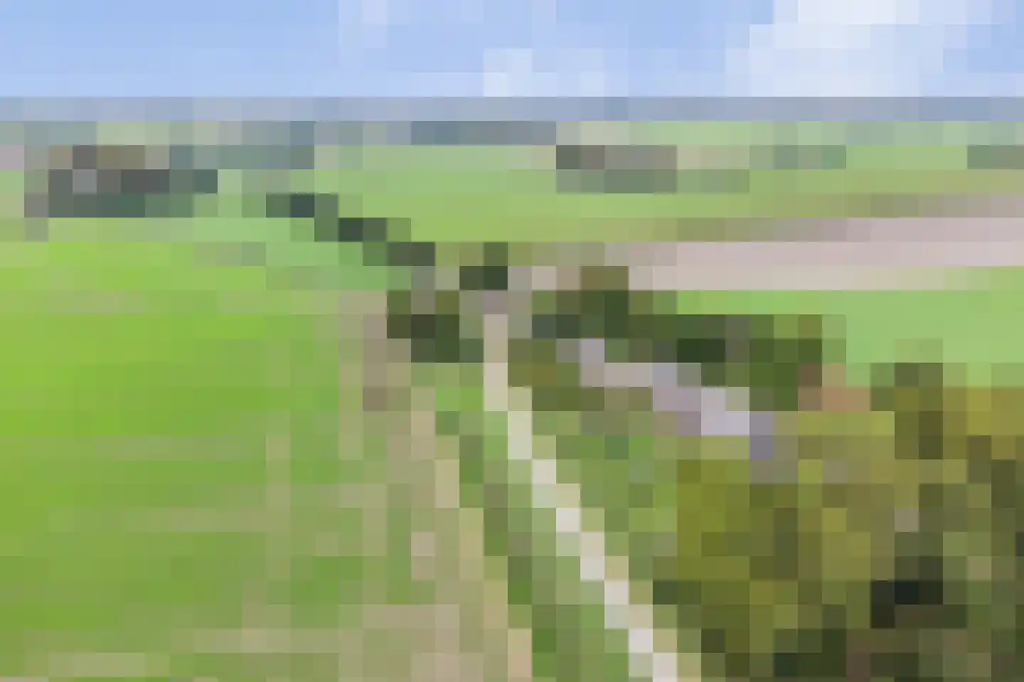 Steenhovensedijk 17 Waterlandkerkje thumbnail 26