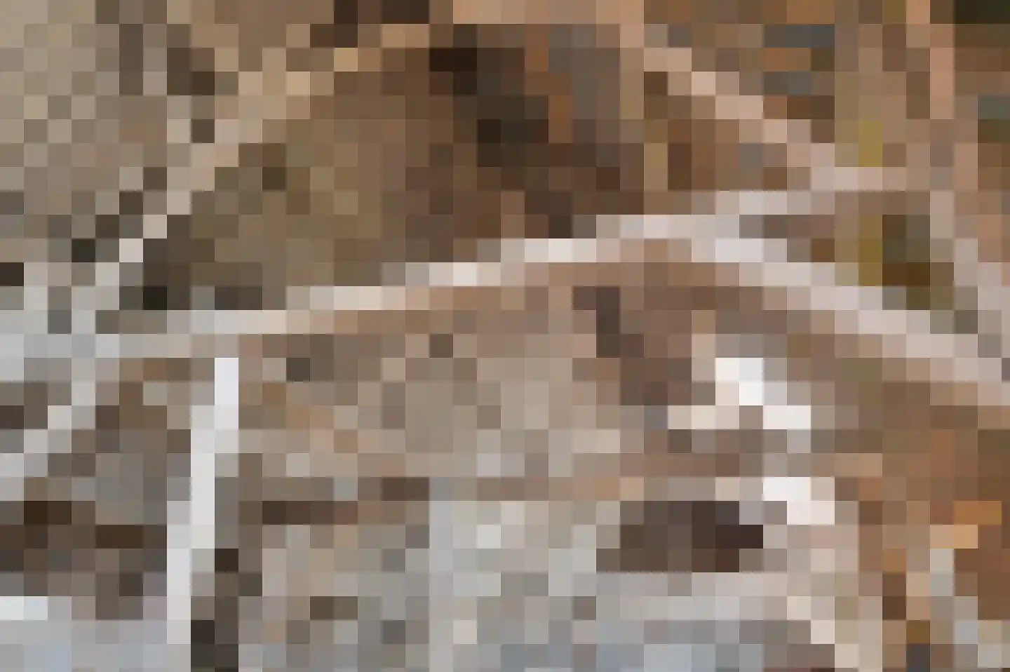 Steenhovensedijk 17 Waterlandkerkje thumbnail 31
