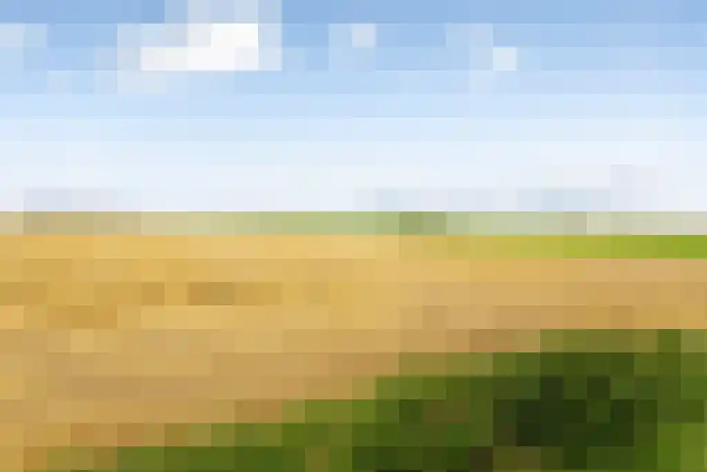 Steenhovensedijk 17 Waterlandkerkje thumbnail 52