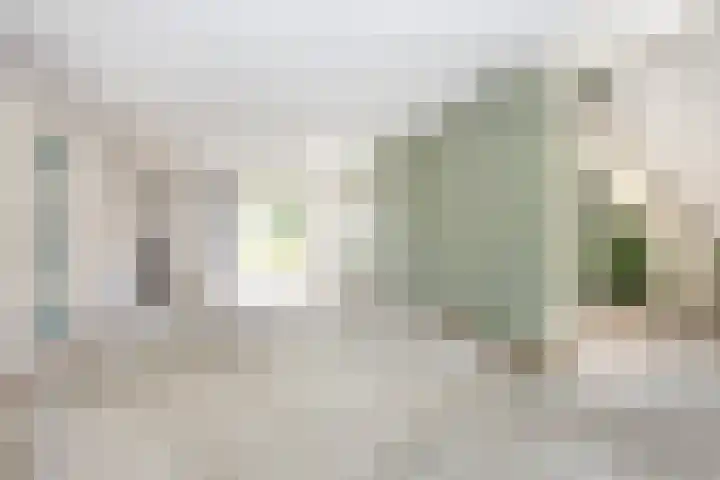Steenhuis 17 Delfzijl thumbnail 10